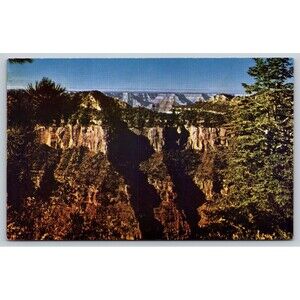 Postcard Arizona Grand Canyon National Park  Viewpoints along North Rim c1950s